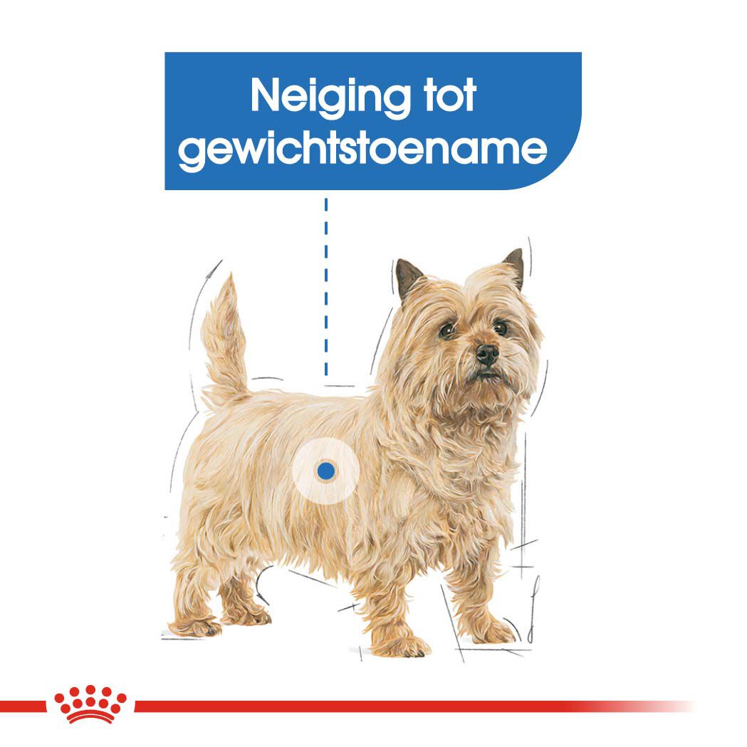 Royal Canin Light Weight Care Wet - Hondenvoer - 1020 Gram - gevogelte