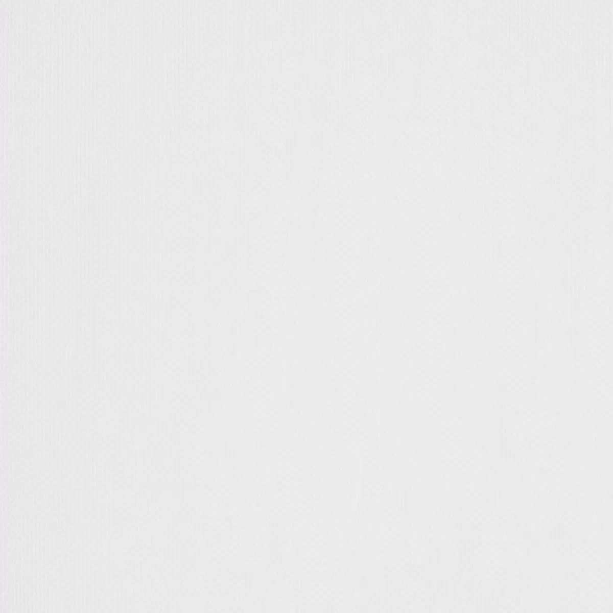 Tagvorhang Mousseline weiss