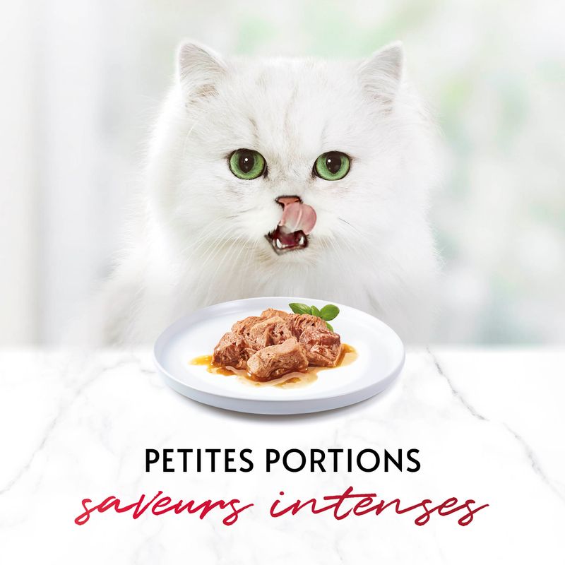 Gourmet Mon Petit 12 x 50 g