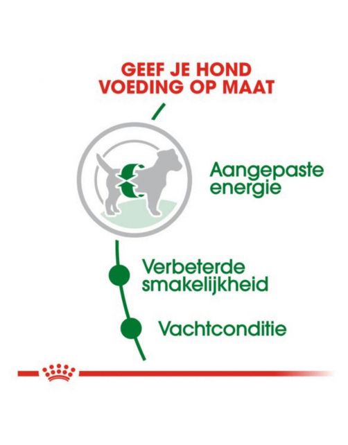 Royal Canin Mini Adult - Hondenvoer