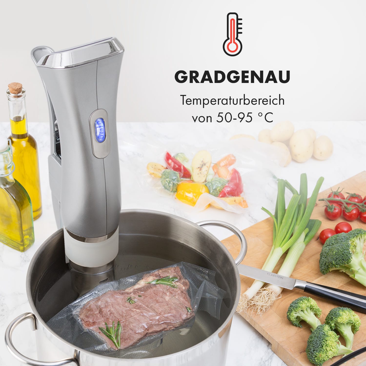 Quickstick Sous Vide Garer Thermostat: 50-95 °C für 20 L Edelstahl Silber