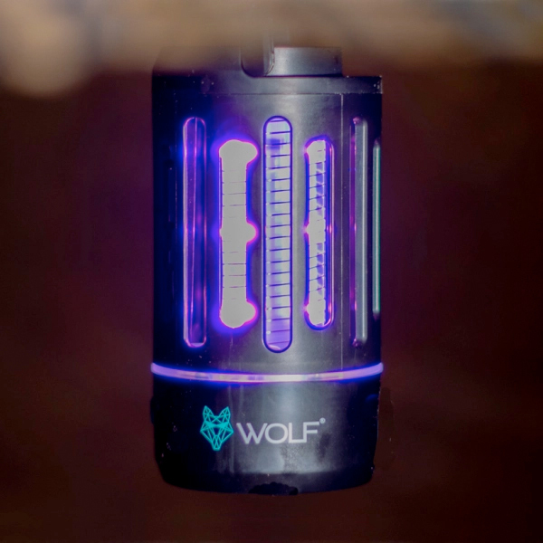 Pack Nuit d'été - Wolf Summer Night Pack