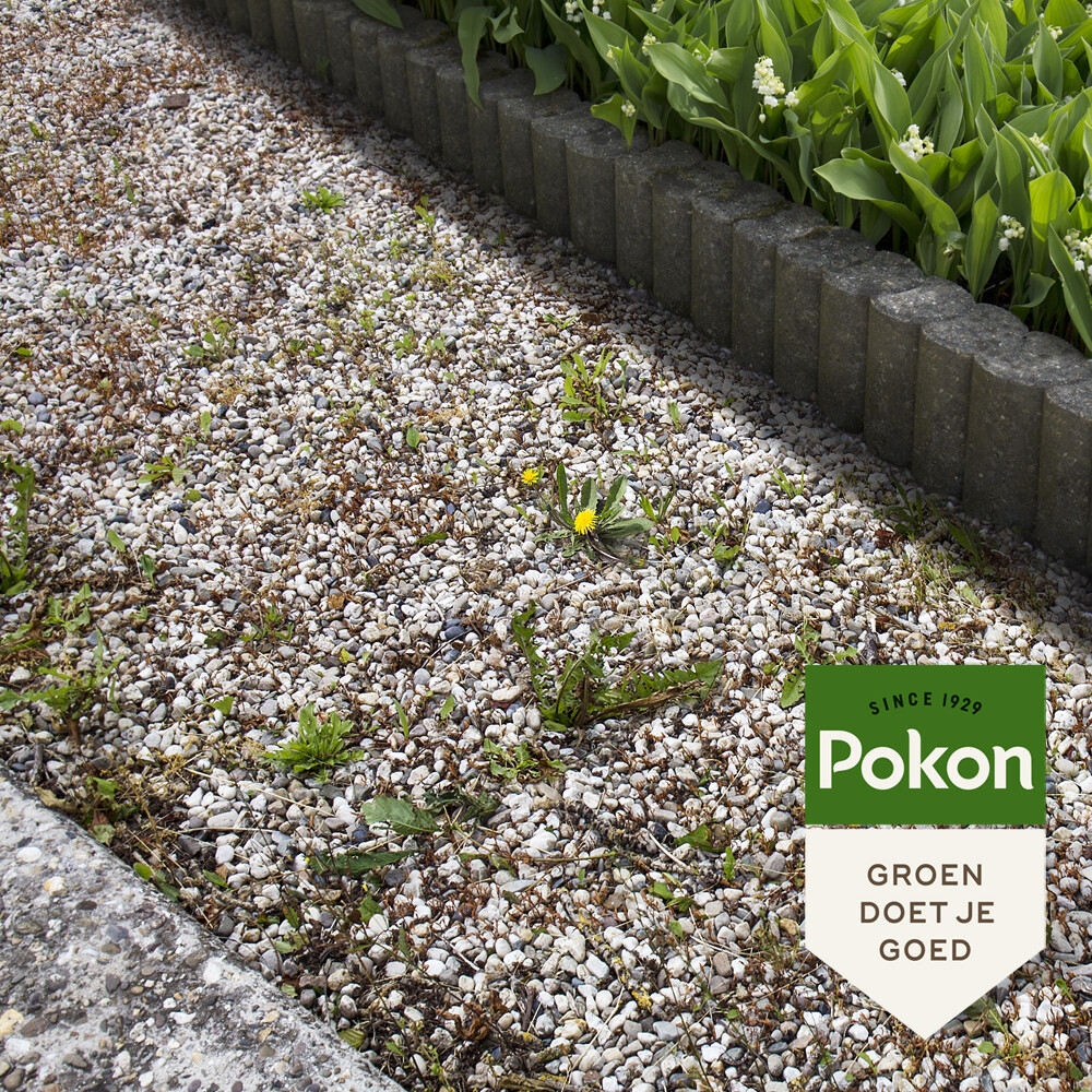 Pokon Tegen Onkruid Concentraat450 ml