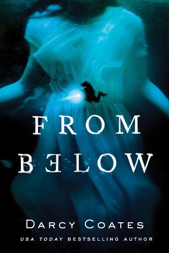 From Below (Paperback)