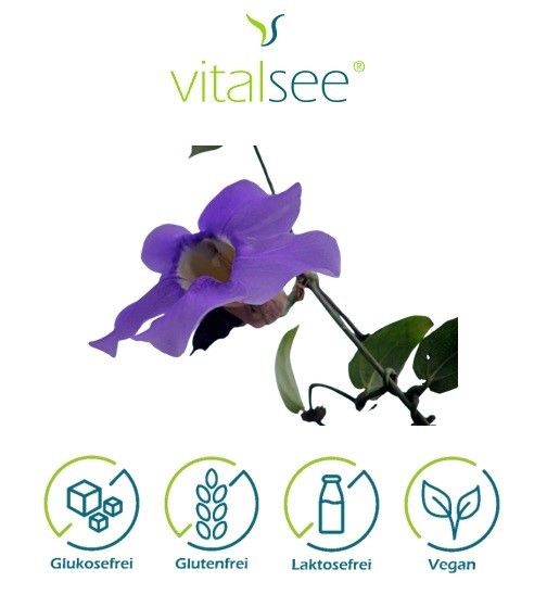 Vitalsee THUNBERGIA laurifolia 300 Extrakt