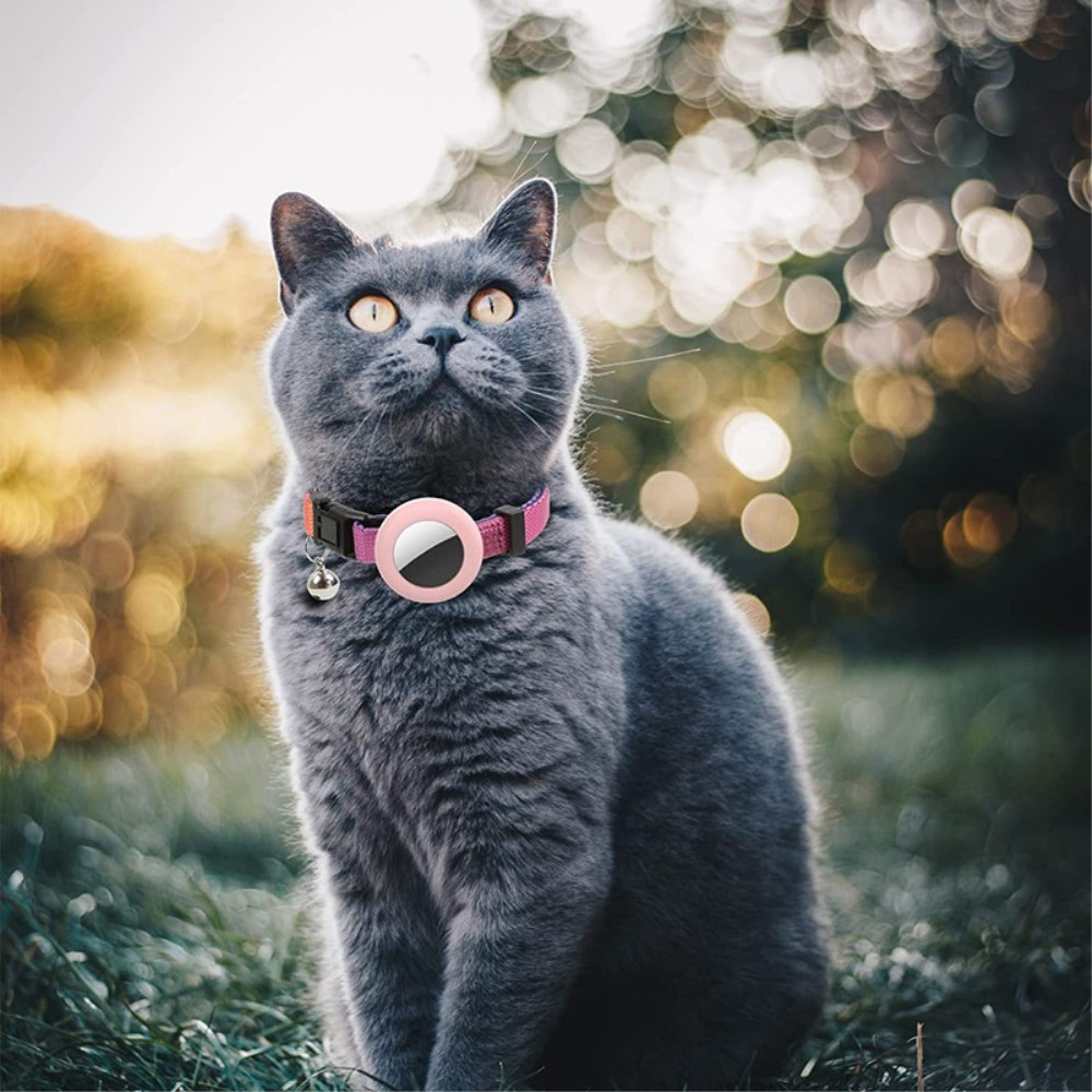 Katzen Rainbow Halsband mit Apple AirTag Silikon Halterung   Glöckchen - Lila / Blau