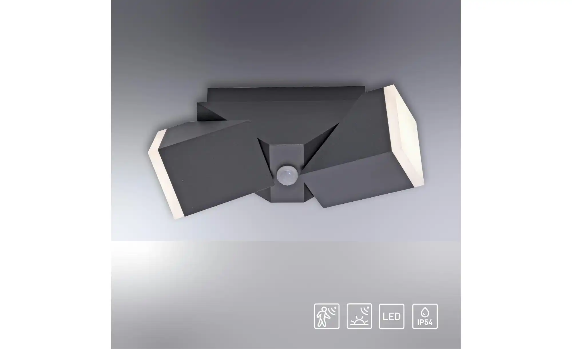 Paul Neuhaus Wand-und Deckenleuchte