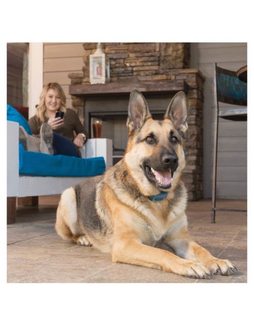 Petsafe Smart Phone Dog Trainer - Hondenopvoeding - 15x6.3x16.1 cm Blauw