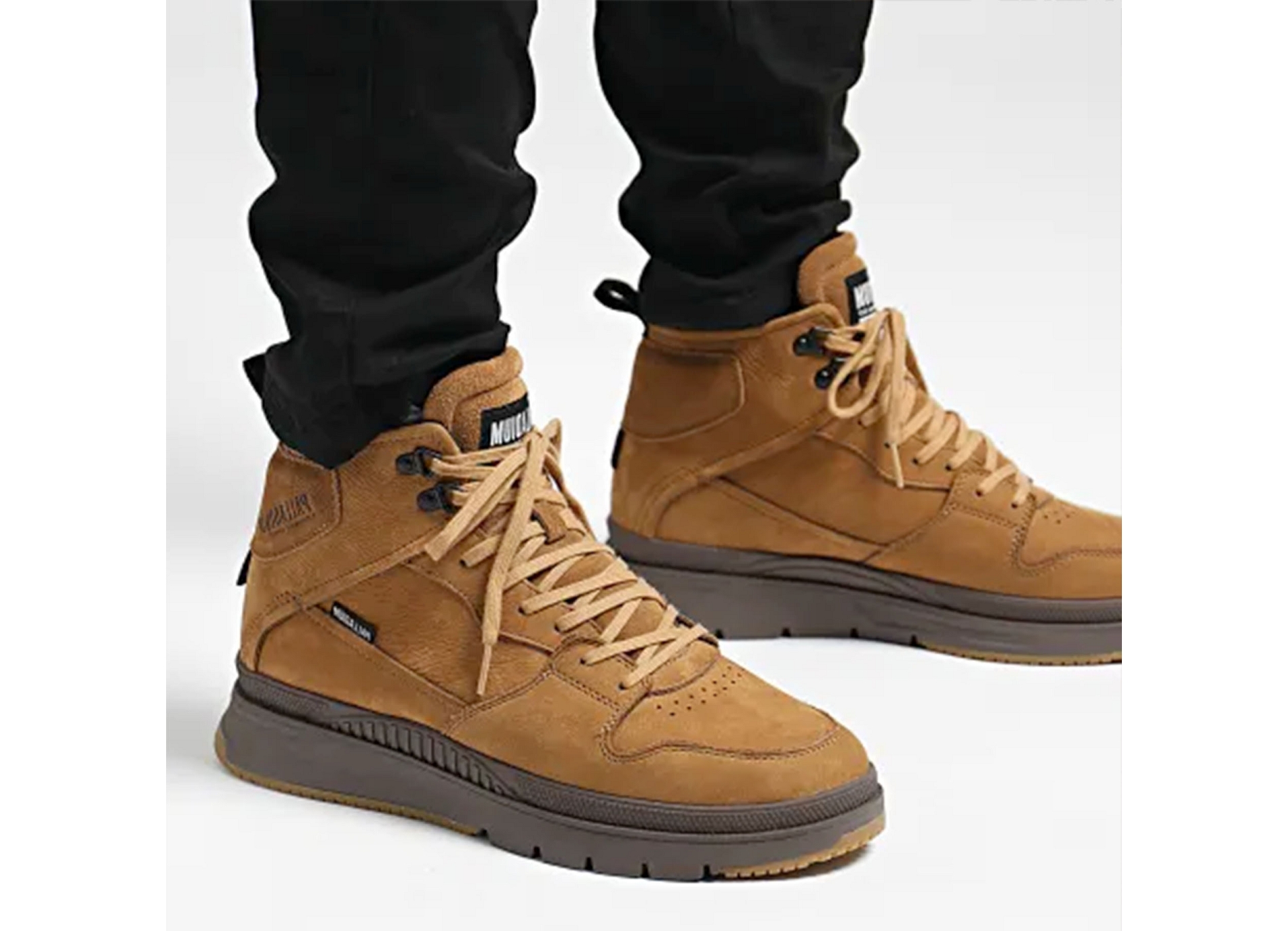 Pallasider hi camel