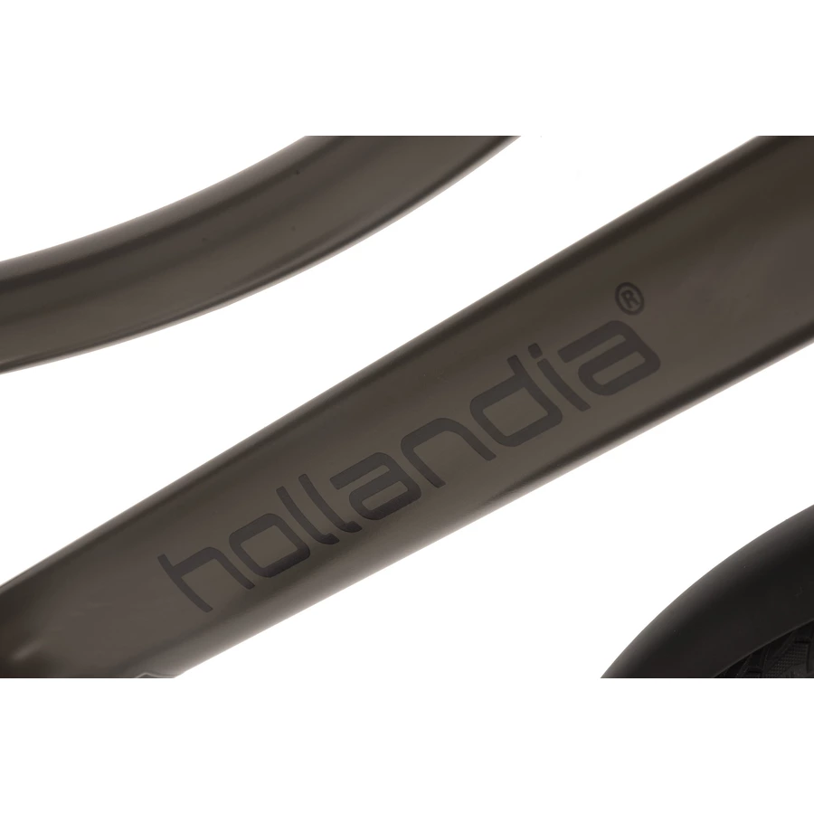 Adore E-Citybike Damen Hollandia Carry on 28'' E-Bike 3 Gänge grau