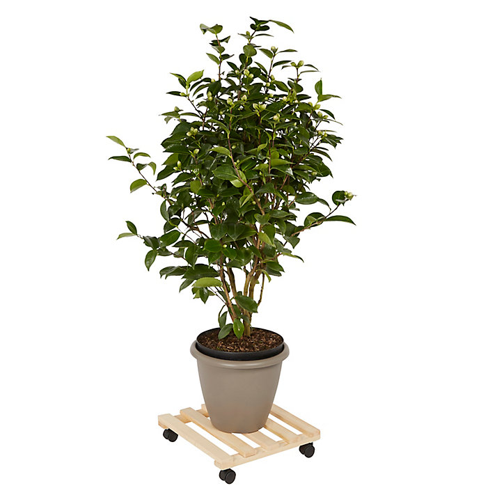 Plateau de manutention carré Diall 80 kg
