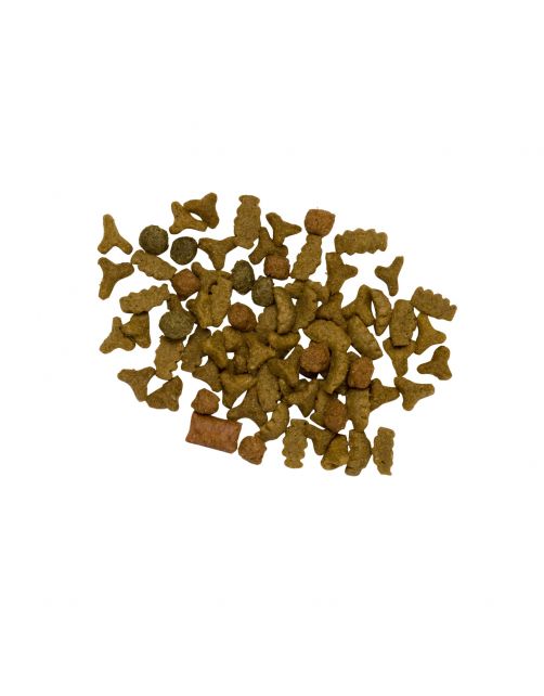 Pets Place Kitten 1 kg - Kattenvoer
