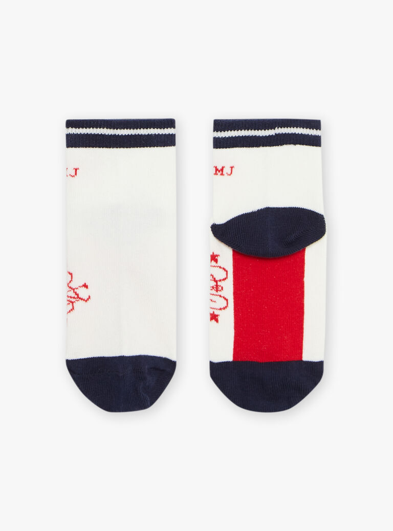Lot de 3 chaussettes basses assorties