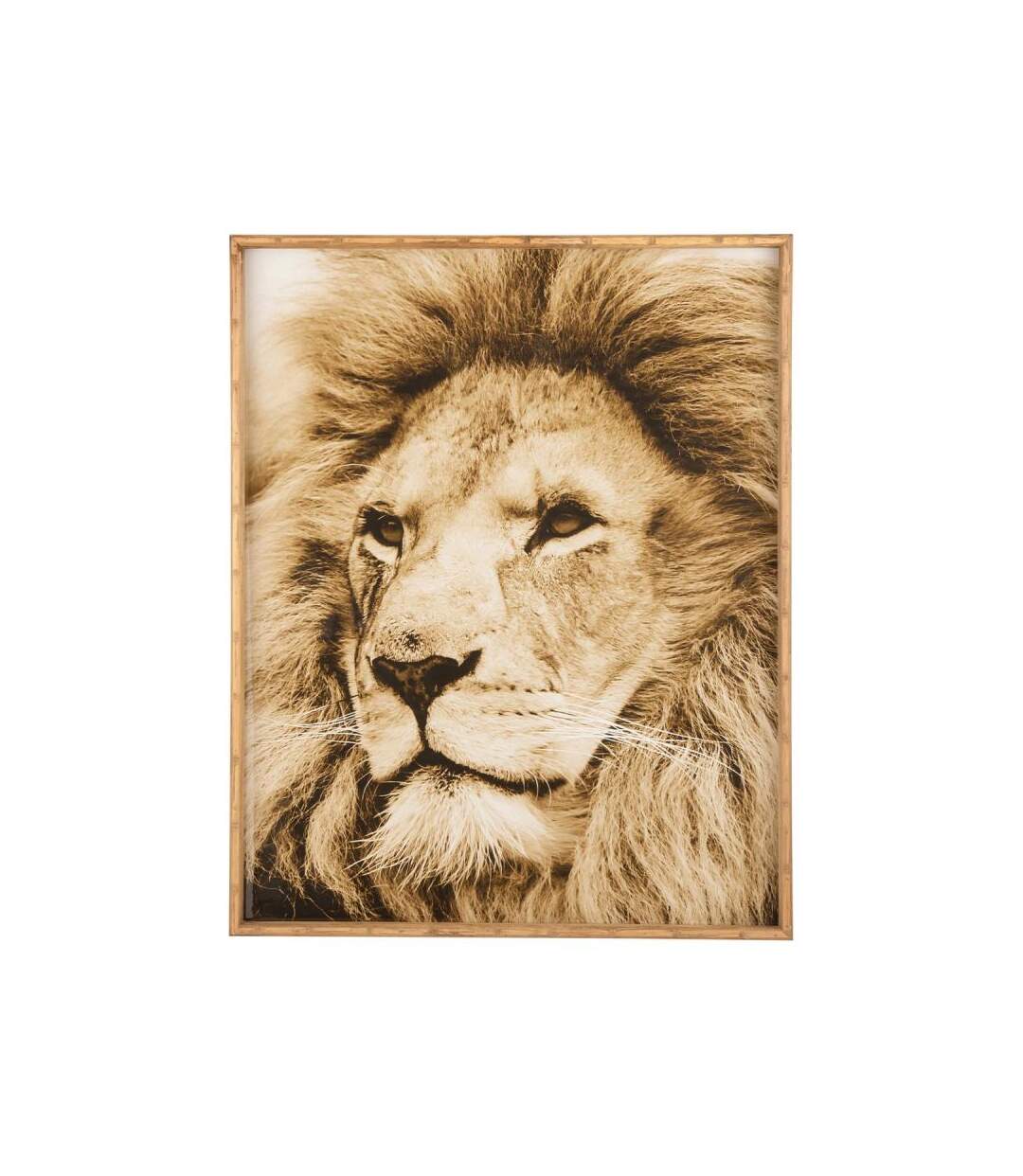 Paris Prix - Tableau Imprimé Déco lion 80x100cm Marron