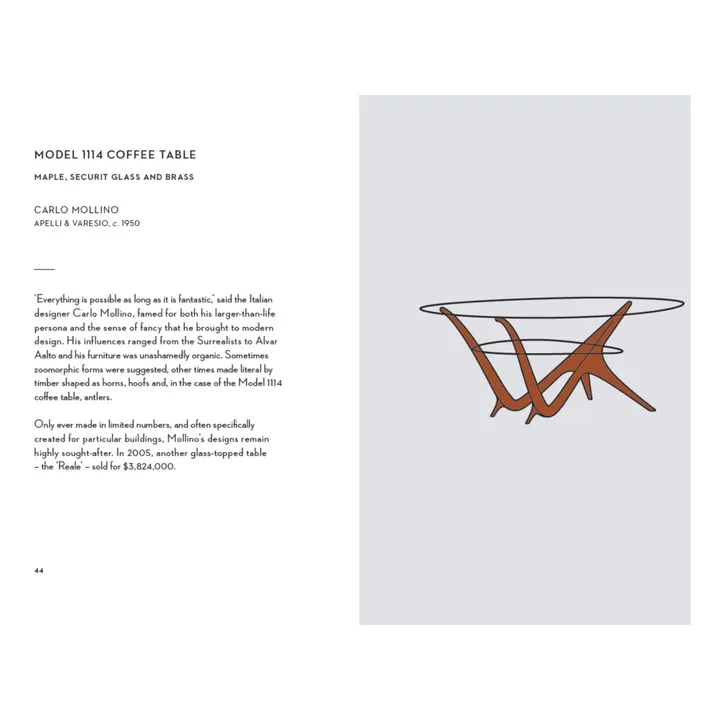 Thames & Hudson Mid-century modern: icons of design - EN