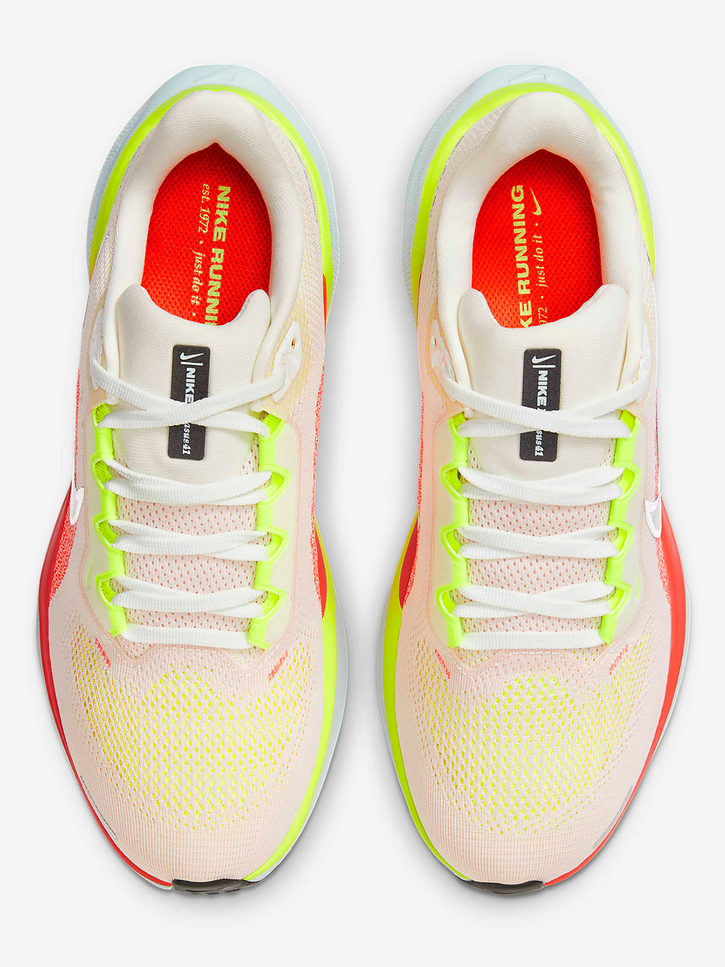 Pegasus 41