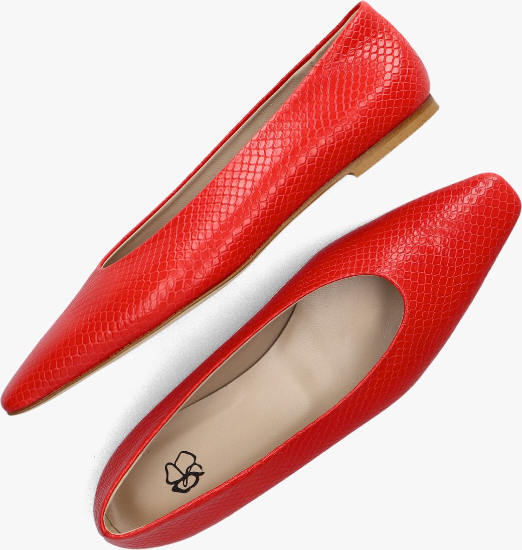 rode odare ballerina's girona met