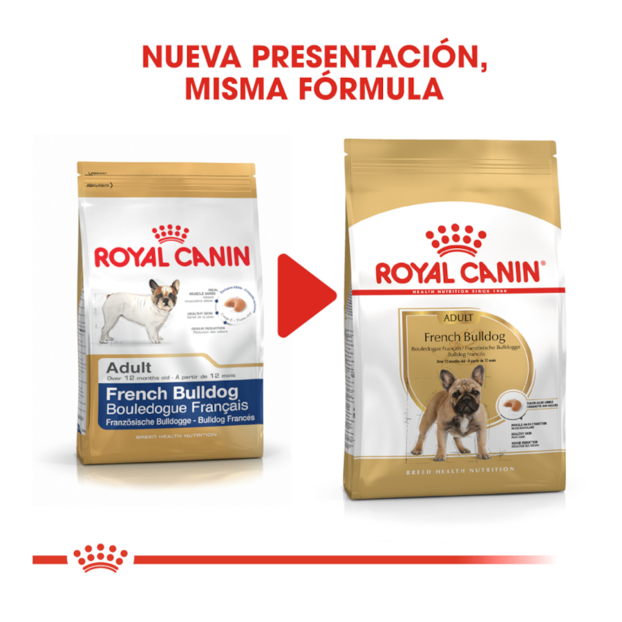 Ração Royal Canin French Bulldog para cães adultos