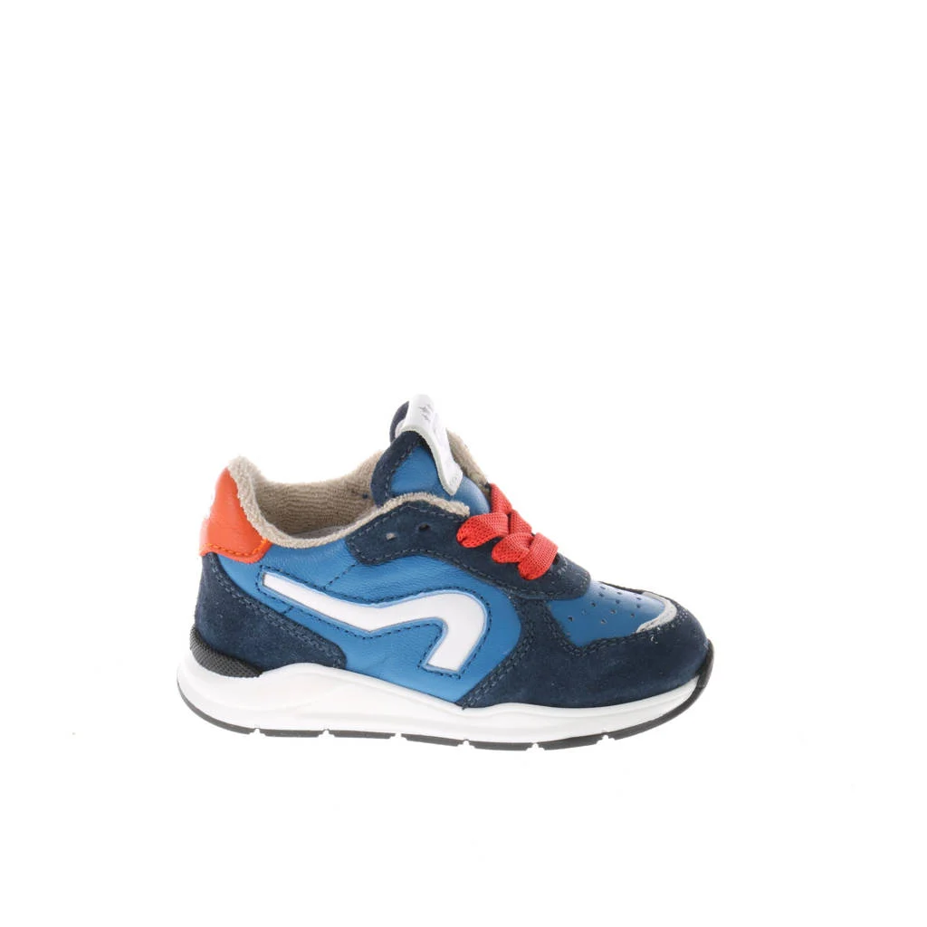Pinocchio leren sneakers blauw