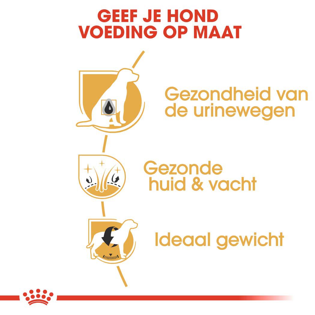 Royal Canin Bichon Frisé Adult - Hondenvoer - 1.5 Kilogram - gevogelte