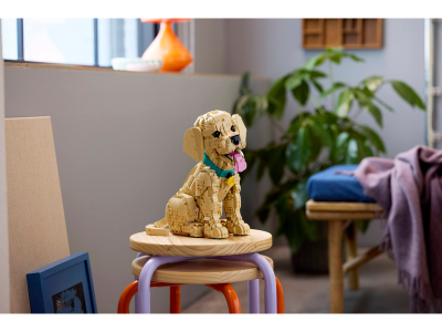 LEGO Golden retriever puppy (11384)