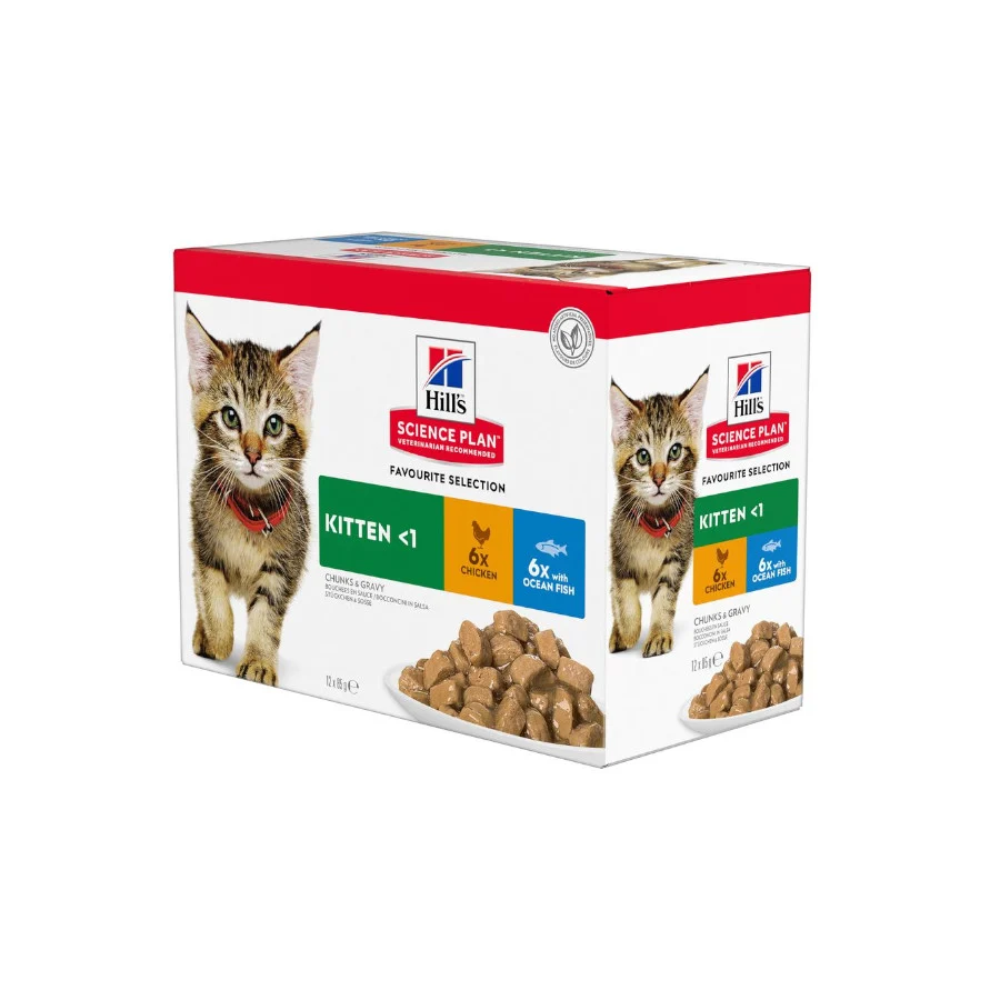 Pacote com várias embalagens de ração Hill's Science Plan para gatinhos, sabor frango e peixe.