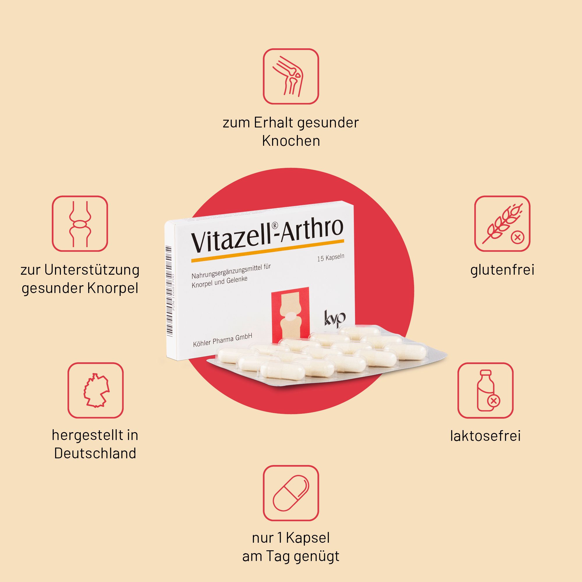 Vitazell®-Arthro Kapseln