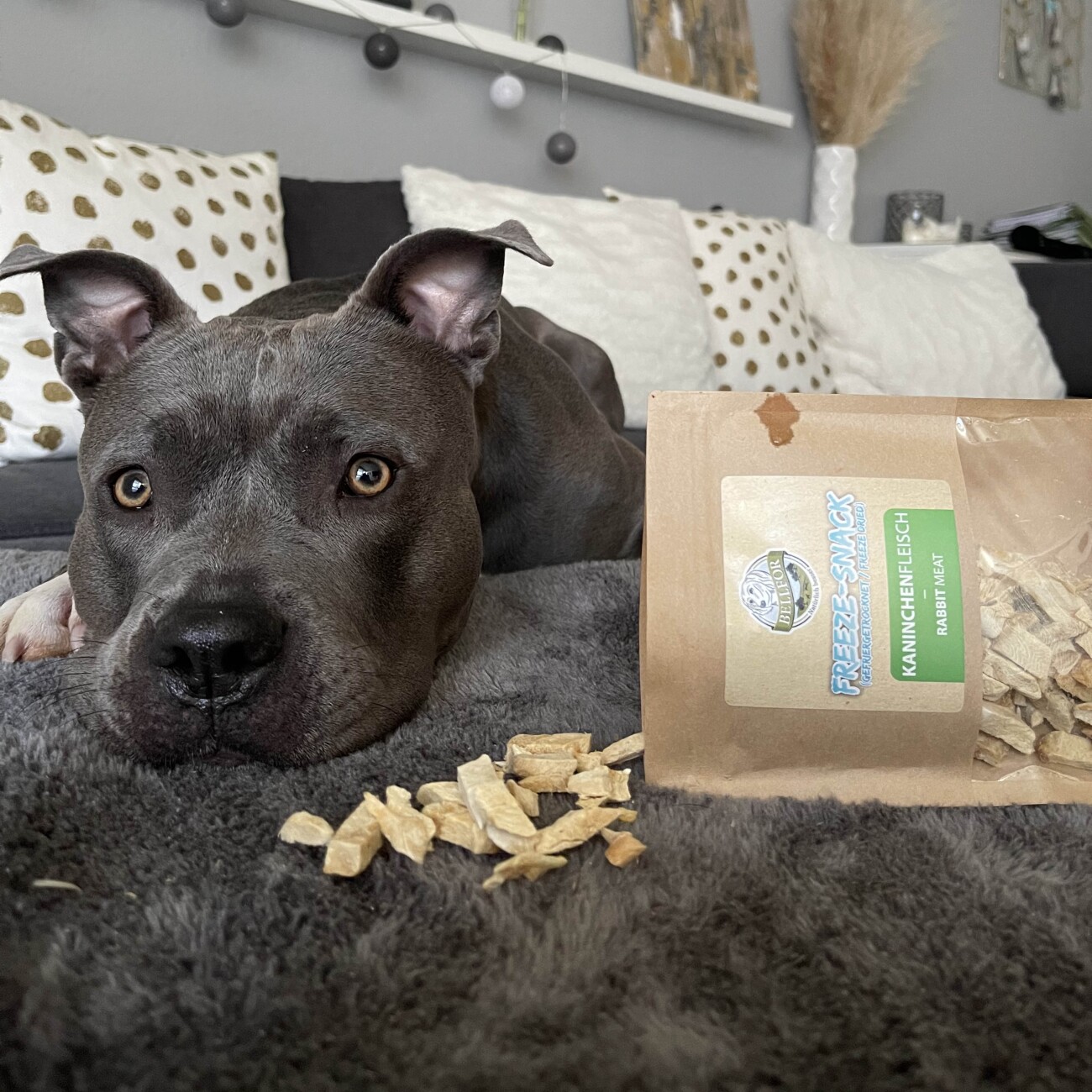 Bellfor Leckerbissen für Hunde mit Kaninchenfleisch - 50g
