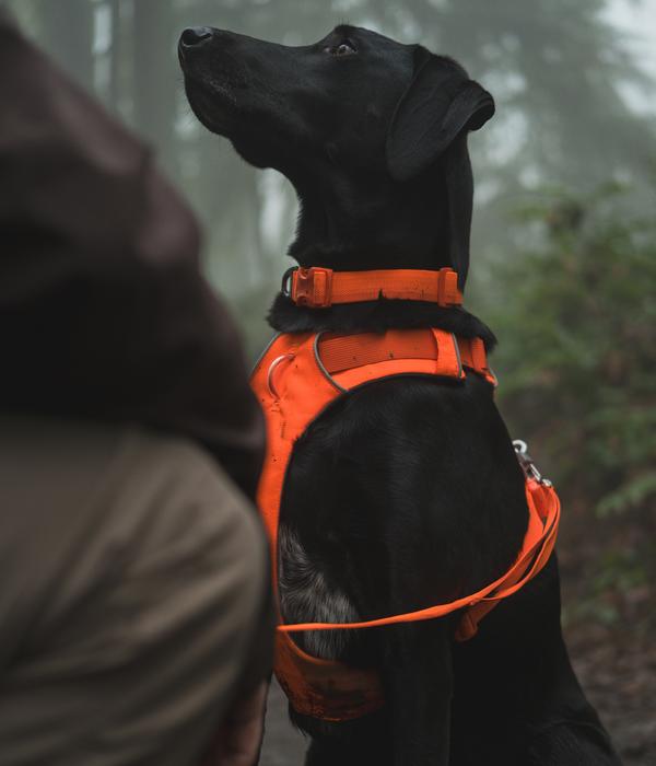 RUFFWEAR® Halsband Front Range™