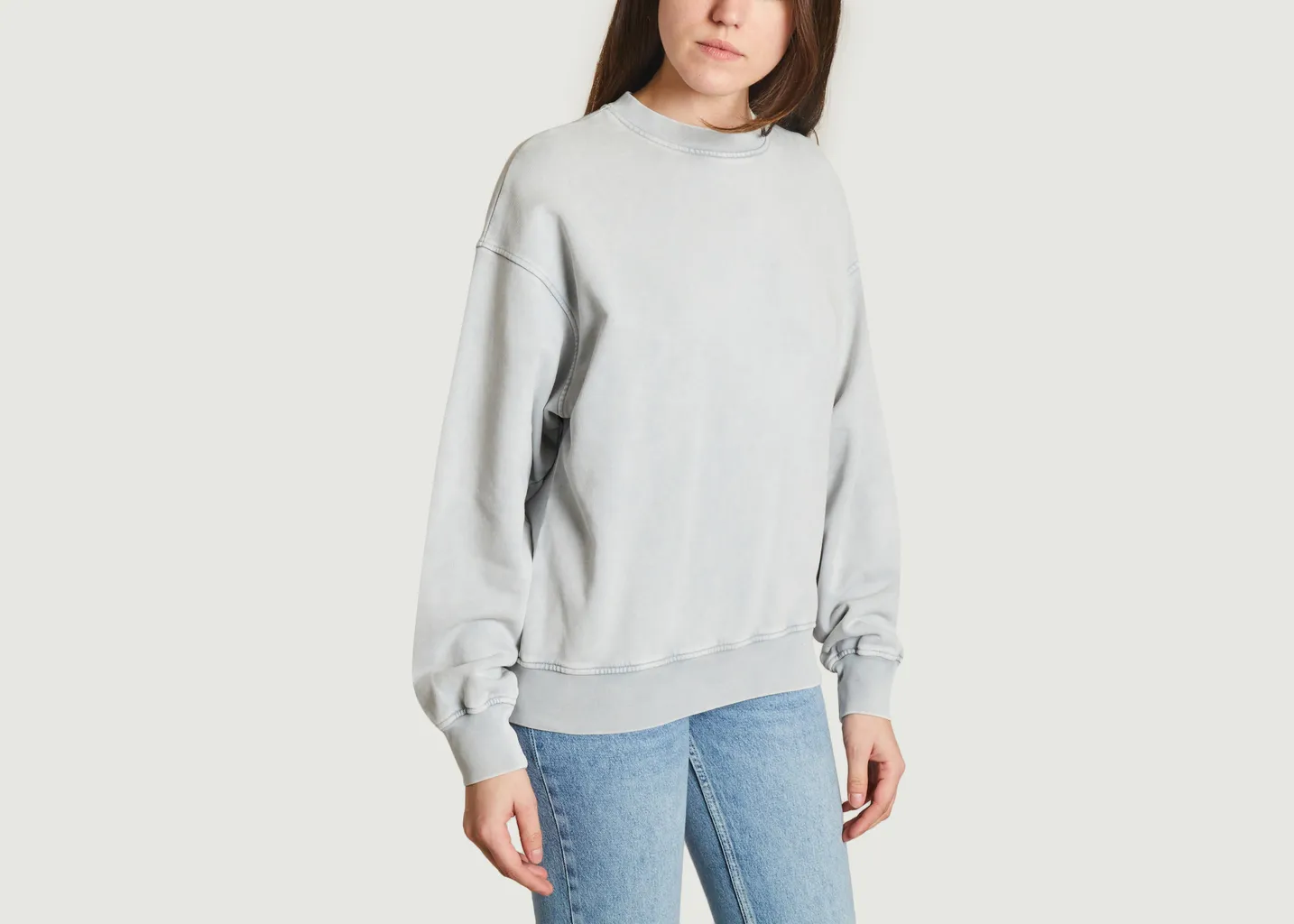 ORGANIC OVERSIZE CREW Colorful Standard