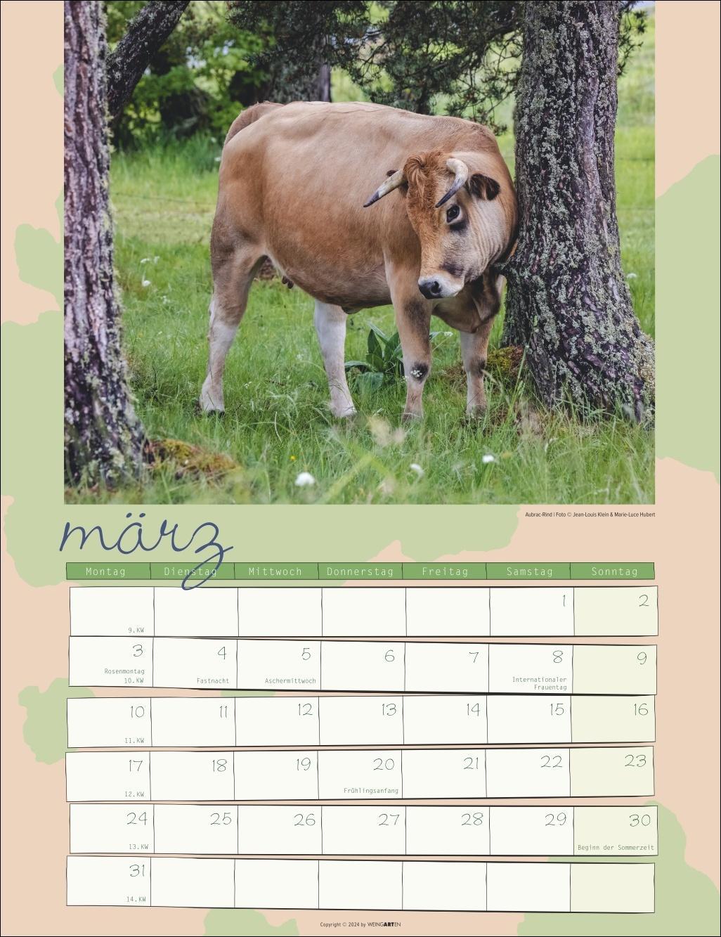 Kuh Kalender 2025