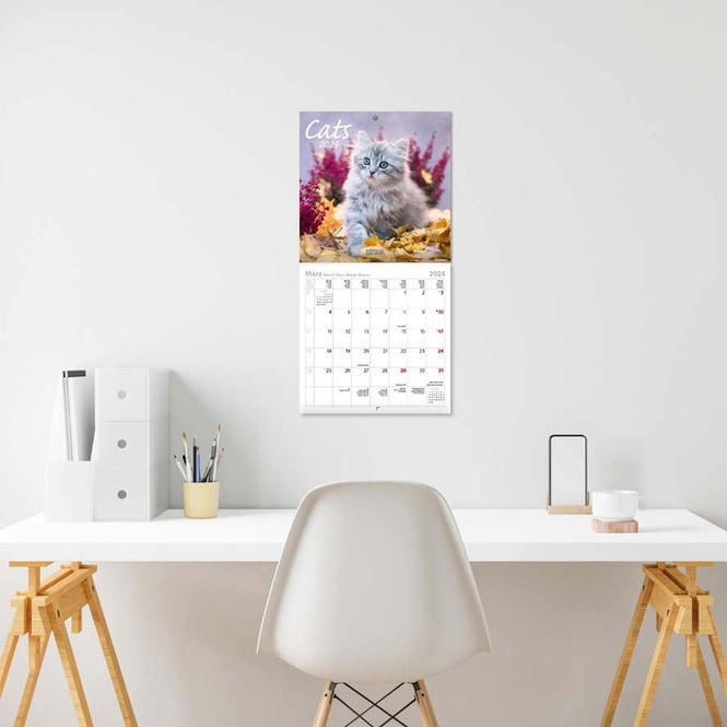 Kalender - Cats - 2024