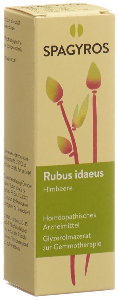 Spagyros Rubus idaeus Glyc Maz 1 D Spr 30 ml
