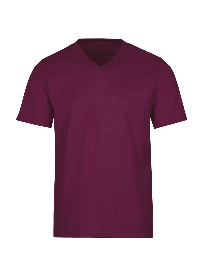 Trigema T-Shirt »TRIGEMA V-Shirt DELUXE Baumwolle«, 1 Stk.