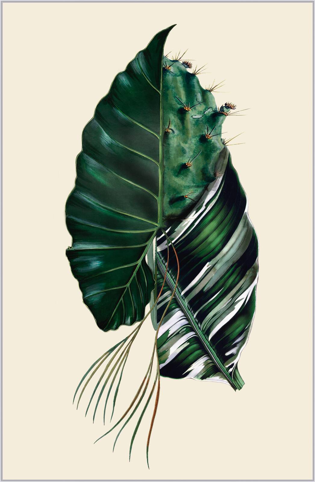 Philocactus by Rive Roshan - Limited Edition. Edition of: 150. Signed.