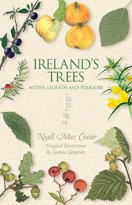 Ireland's Trees (Paperback)