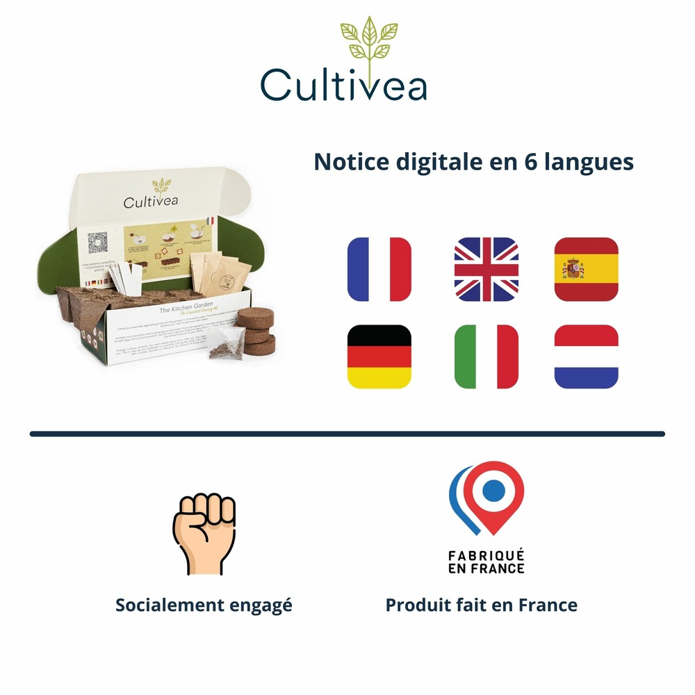 Cultivea le kit petit potager - kit de 10 graines de semis essentiels - herbes aromatiques, tomates, légumes, salades