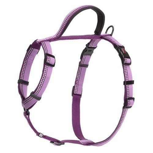 Coleira de passeio Halti para cães, roxa