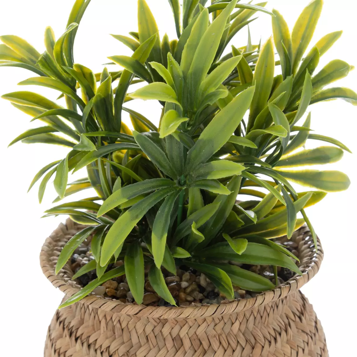 Plante artificielle en pot (H20 cm) Jil Verte