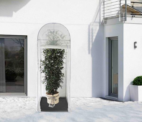 Videx Winterschutz Frost-Schutzhaus Palm