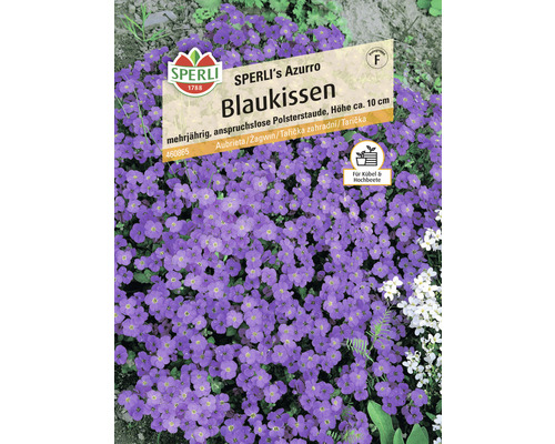 Aubrieta Sperli bloemzaden