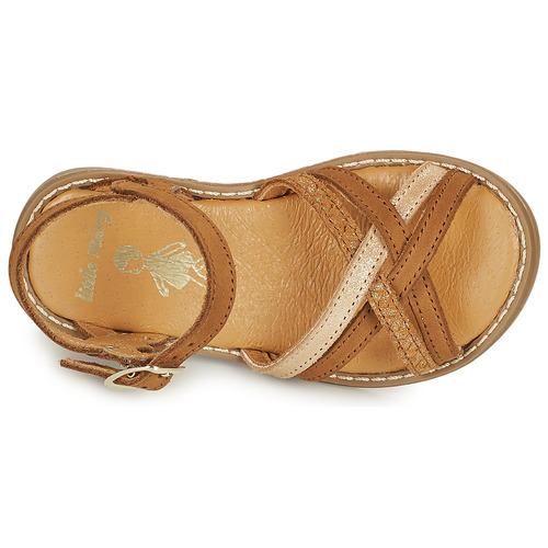 Little Mary - SOEURETTE - Marron