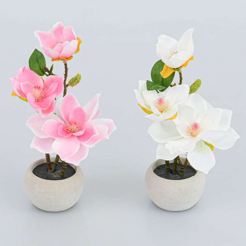 Mini composition de magnolias