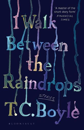 I Walk Between the Raindrops (Paperback)