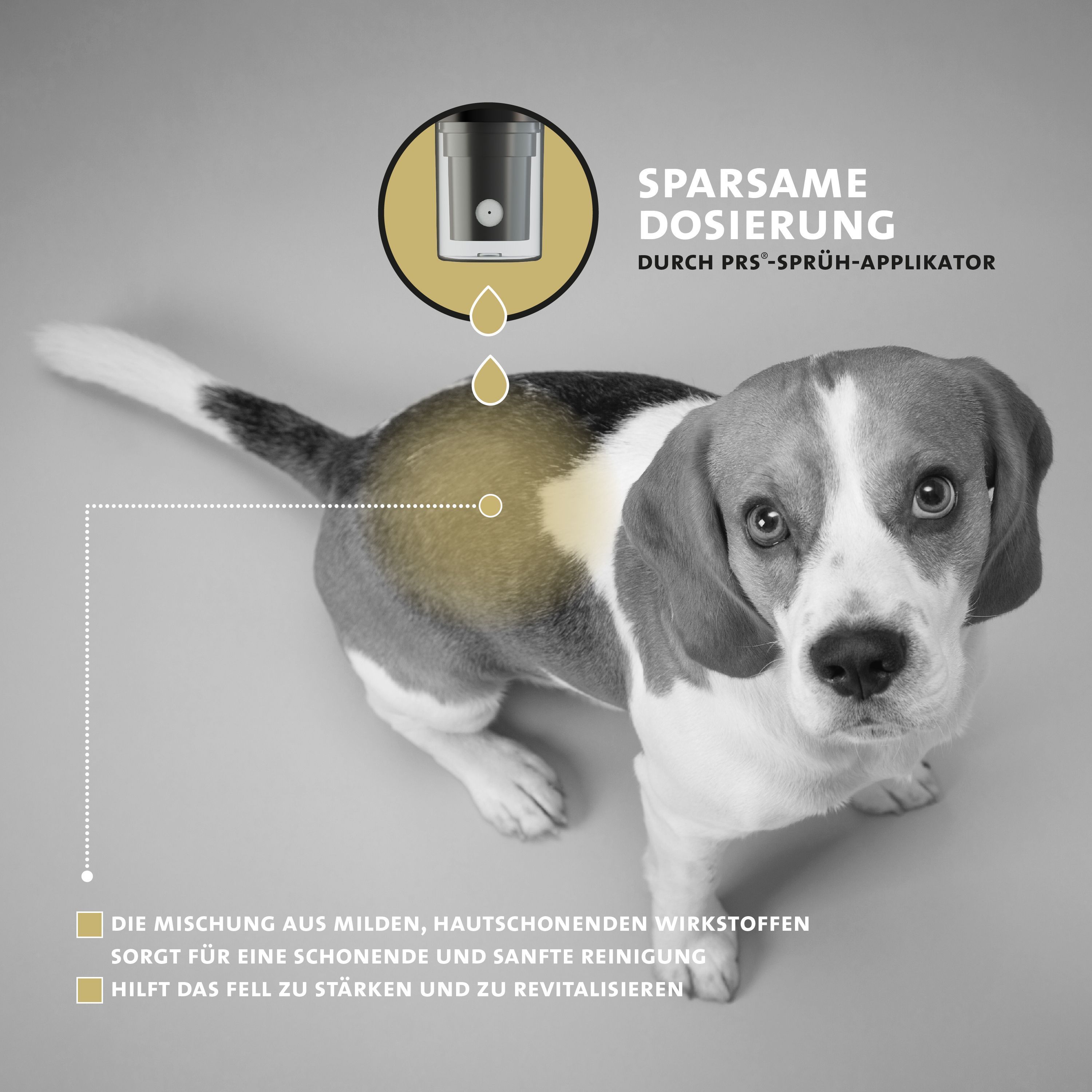 Peticare natürliches Trocken-Shampoo für Hunde, stressfreie Wäsche ohne Wasser