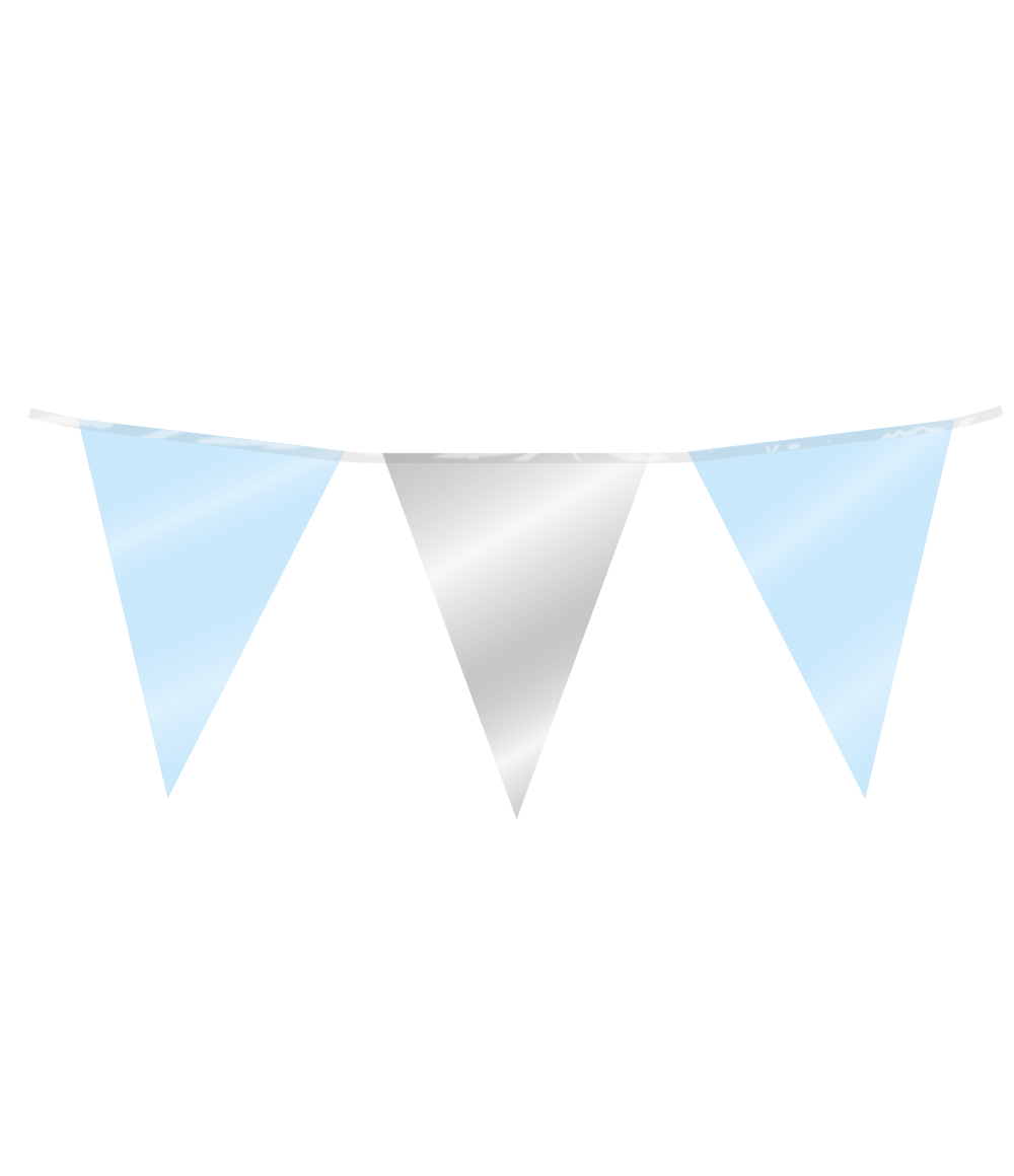 Blauw Zilveren Slinger 10m