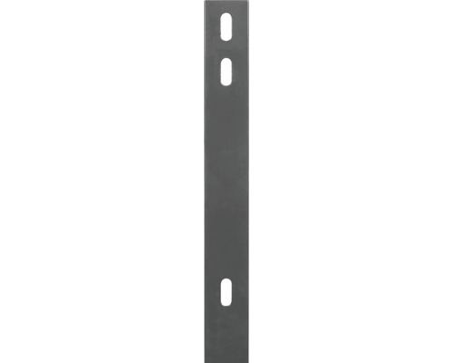 ALBERTS vlakke staaf voor dubbeldraads gaaspanelen 40x4 mm 660 mm gatafstand 400 mm antraciet