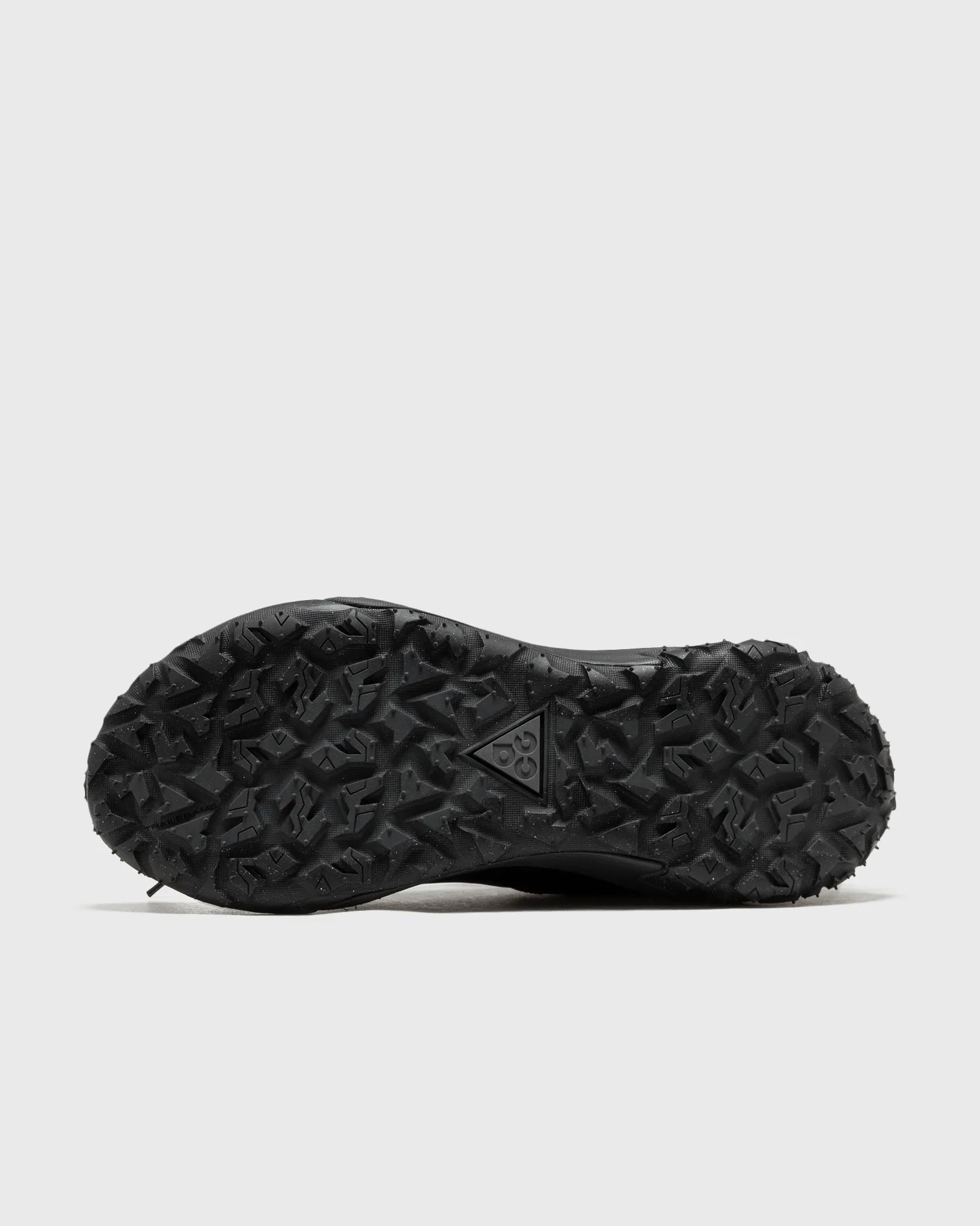 Nike ACG MOUNTAIN FLY 2 LOW