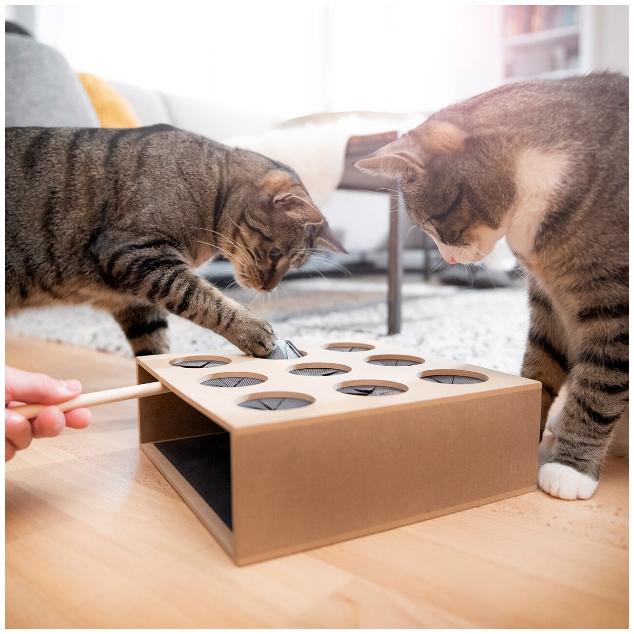 Canadian Cat Company Katzenspielzeug Fang die Maus