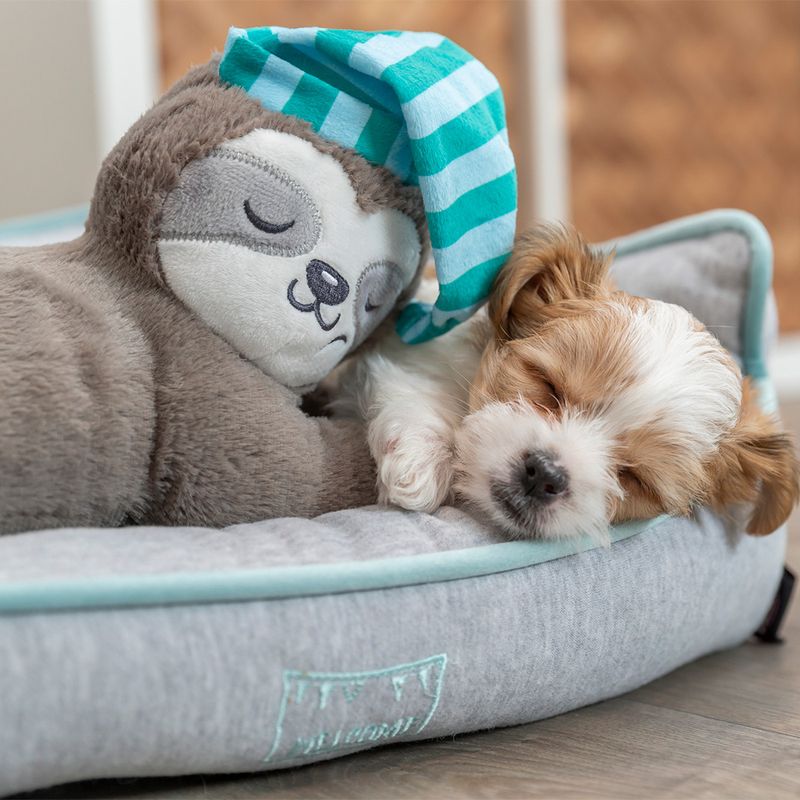 Jouet Trixie Junior Paresseux pour chiot